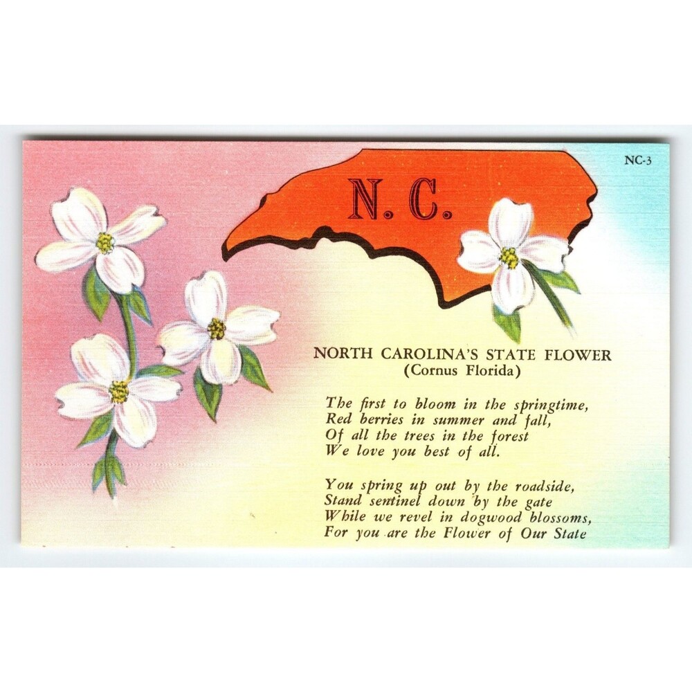 Vintage North Carolina Linen Postcard State Flower Dogwood NC-3